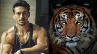 Heropanti 2: What’s Common Between ‘Superstar’ Tiger Shroff And A Real Tiger? Check ASAP