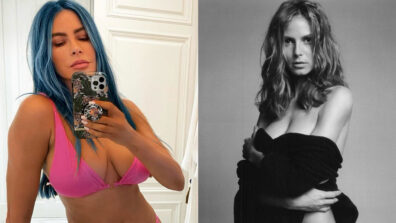 Hollywood Babes On Fire: Sofia Vergara and Heidi Klum stab hearts with unlimited sensuality, are you crushing?