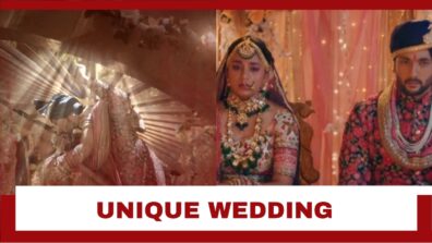 Imlie Spoiler Alert: Aryan and Imlie’s unique wedding