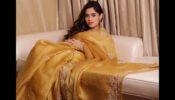 Jannat Zubair Rahmani dazzles in golden saree, fans fall in love