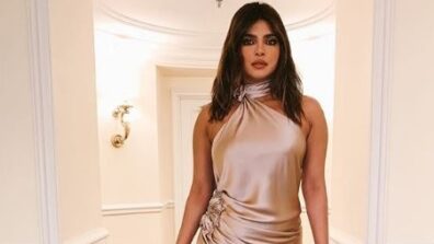 5 Times When Priyanka Chopra Stole The Show In Thigh-High Slit Ensembles