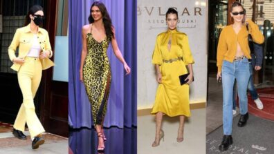 Kendall Jenner To Bella Hadid: These Divas Were Exact Opposite Of “Yellow Yellow Dirty Fellow”