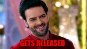 Kundali Bhagya spoiler alert: Prithvi gets released on bail