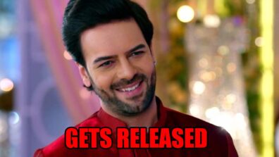 Kundali Bhagya spoiler alert: Prithvi gets released on bail