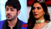 Kundali Bhagya spoiler alert: Sameer to spy on Preeta