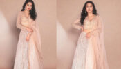 Look At These Incredible Traditional Garments Donned By Naagin 6 Fame Tejasswi Prakash