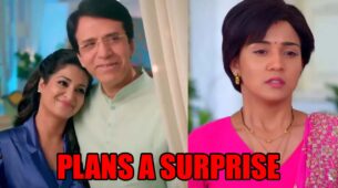 Meet spoiler alert: Ahlawat family plans a surprise for Meet Hooda