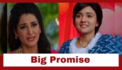 Meet Spoiler Alert: Babita takes a big promise from Meet Hooda