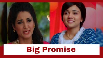 Meet Spoiler Alert: Babita takes a big promise from Meet Hooda