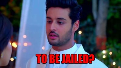 Meet spoiler alert: Meet Ahlawat to be jailed?