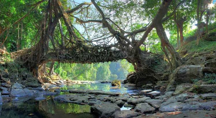 Meghalaya: Northeast’s Best Natural Marvel - 2