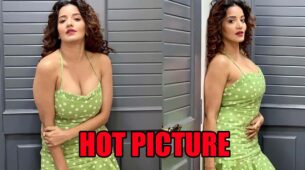 Monalisa shares sizzling hot picture in deep-neck green polka dot dress, fans go bananas