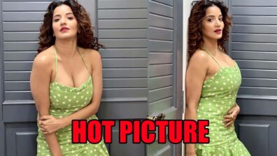 Monalisa shares sizzling hot picture in deep-neck green polka dot dress, fans go bananas