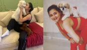 Mouni Roy and Rashami Desai are big-time pet lovers and these photos are PROOF
