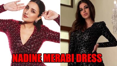 Mouni Roy Or Parineeti Chopra: Which Diva Aced Nadine Merabi Dress Better?