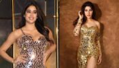 Nikki Tamboli Or Janhvi Kapoor: Which Diva Slayed In A Mirror Dress?