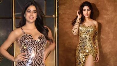 Nikki Tamboli Or Janhvi Kapoor: Which Diva Slayed In A Mirror Dress?