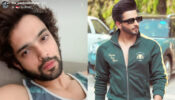 Parth Samthaan and Dheeraj Dhoopar are quintessential handsome hunks, see pics