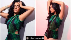 Reem Sameer Sheikh burns oomph game in green monokini, influencer Riaz Aly appreciates