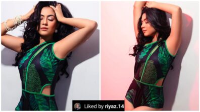 Reem Sameer Sheikh burns oomph game in green monokini, influencer Riaz Aly appreciates