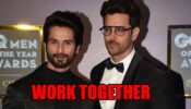 Shahid Kapoor In Hopes To Doing A Movie Like Haider With Hrithik Roshan: Claims Mrunal Thakur To Be His Lead Partner