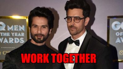 Shahid Kapoor In Hopes To Doing A Movie Like Haider With Hrithik Roshan: Claims Mrunal Thakur To Be His Lead Partner