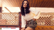 Shehnaaz Gill stabs hearts effortlessly in latest photodump, rapper Badshah love reacts