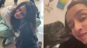 Shraddha Kapoor celebrates pet Shyloh’s birthday in cutest manner, Kriti Sanon, Sonakshi Sinha and Kiara Advani love it