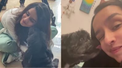 Shraddha Kapoor celebrates pet Shyloh’s birthday in cutest manner, Kriti Sanon, Sonakshi Sinha and Kiara Advani love it