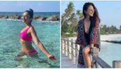 Summer Vibes: Top 6 Rakul Preet Singh’s Beachside Photos; Are You Sweating?