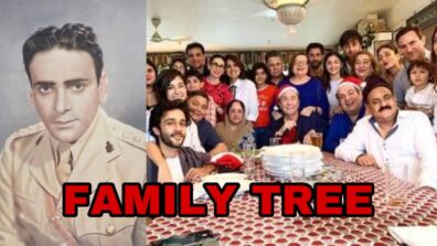 The Kapoor Family Tree, Prithviraj Kapoor And His Descendants Who Rule Bollywood