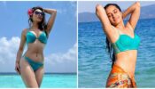 This Summer, Chill With Your Favourite Diva In A Blue Bikini: From Urvashi Rautela To Shraddha Kapoor
