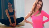 TMKOC Babes Sunday Routine: Palak Sindhwani sweats it out in bralette and joggers, Sunayana Fozdar poses like queen
