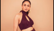 Too Spicy To Handle: Rakul Preet Singh flaunts sensuous backless style, are you in love?