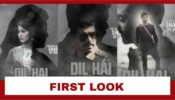 Urvashi Rautela Looks Cold As Her First Look From Dil Hai Gray Goes Viral