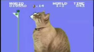 Cat Plays In Mario Decor: How Cute Is This?