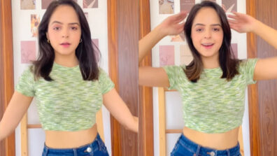 Watch: TMKOC diva Palak Sindhwani goes bold, performs on hip-hop song in crop top and denim