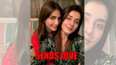 “Yaad hai mujhe yeh”: Raashii Khanna Sends Love As She Misses Vaani Kapoor: See This Post