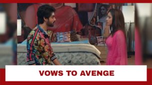 Yeh Hai Chahatein Spoiler Alert: Rudraksh vows to avenge Preesha