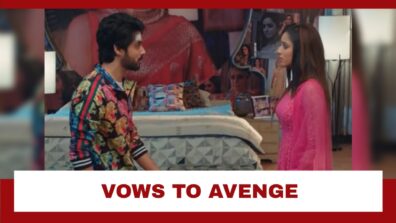 Yeh Hai Chahatein Spoiler Alert: Rudraksh vows to avenge Preesha