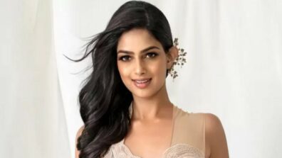 Harnaaz Sandhu Proves Why She Is The Miss Universe As She Shines In All White Shirt Pant & Silver Blouse: See Here