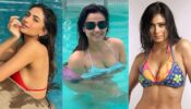 3 Times Shweta Tiwari Proved Bikinis Are The High Glam Real Deal We Need This Summer