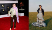 5 Times Harry Styles Broke The Gender Barriers And Chose Fashion