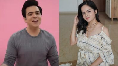 Aa Jave Dil Tera: TMKOC actor Raj Anadkat is feeling romantic, Palak Sindhwani says, “my favourite”