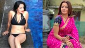 Babe In Bikinis To Sanskari In Saree: Monalisa’s Top Looks That Left Us Gasping For Breath