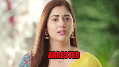 Bade Achhe Lagte Hain 2 spoiler alert: Priya gets arrested