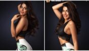 B*ld Photoshoot: Nikki Tamboli’s sensuous snaps in see-through bralette goes viral, fans can’t keep calm