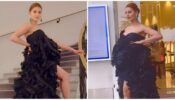 Cannes 2022: Urvashi Rautela does an Aishwarya Rai, dons black peacock outfit like vogue queen