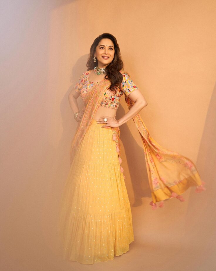 5 Times Madhuri Dixit Swooned Our Hearts With Her Gorgeous Saree Collection - 6