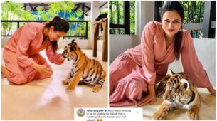Divyanka Tripathi poses with tiger cub, Rahul Vaidya asks, “are you missing Khatron Ke Khiladi?